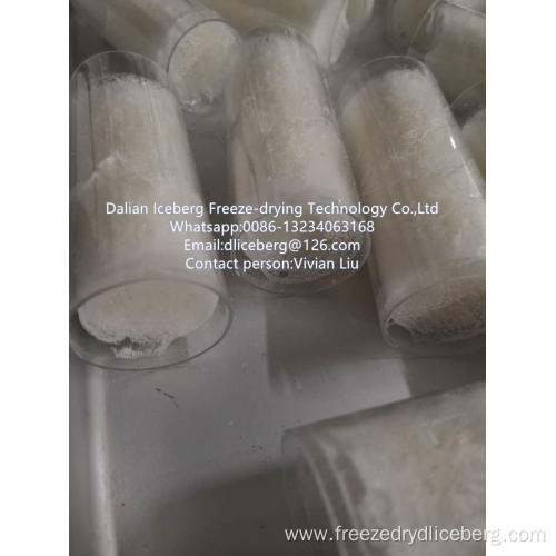 Freeze-drying Cubilose freeze dryer.